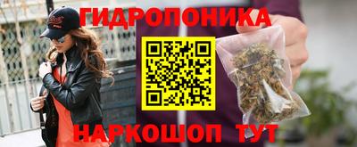 дживик Ирбит