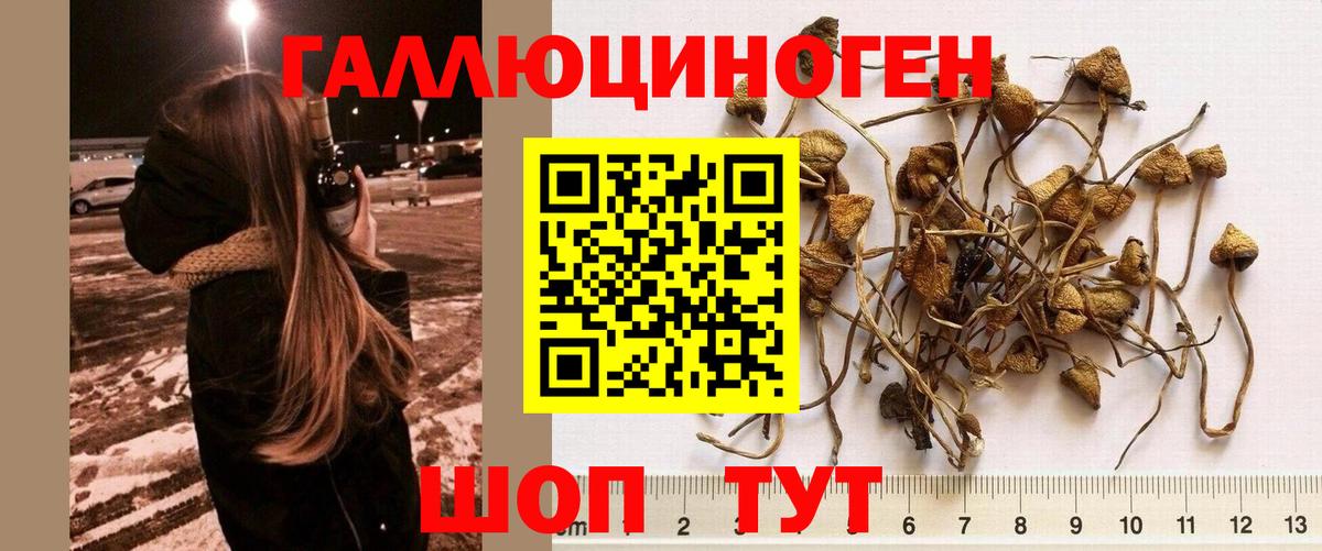 Галлюциногенные грибы ЛСД  Вход с VPN  Магадан 