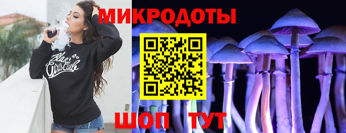 Псилоцибиновые грибы Psilocybine cubensis Магадан